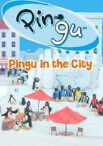 Watch Pingu in the City M4ufreemovies