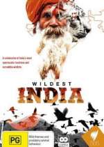 Watch Wildest India M4ufreemovies
