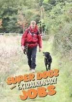 Watch Super Dogs with Extraordinary Jobs M4ufreemovies