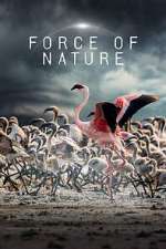 Watch Force of Nature M4ufreemovies