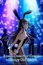 Watch Rascal Does Not Dream of Bunny Girl Senpai M4ufreemovies