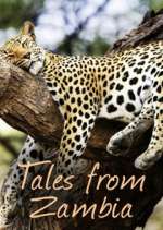 Watch Tales from Zambia M4ufreemovies