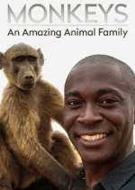 Watch Monkeys: An Amazing Animal Family M4ufreemovies