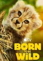 Watch Born to Be Wild M4ufreemovies