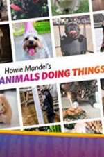 Watch Howie Mandel\'s Animals Doing Things M4ufreemovies