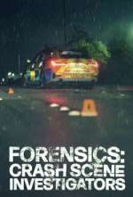 Watch Forensics: Crash Scene Investigators M4ufreemovies