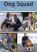 Watch Dog Squad M4ufreemovies