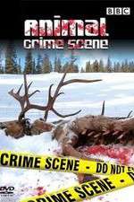 Watch Animal Crime Scene M4ufreemovies