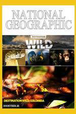 Watch Destination Wild: Colombia M4ufreemovies
