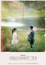 Watch Met You By Chance M4ufreemovies