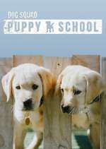 Watch Dog Squad: Puppy School M4ufreemovies