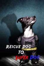 Watch Rescue Dog to Super Dog M4ufreemovies