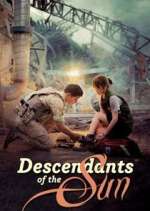 Watch Descendants of the Sun M4ufreemovies