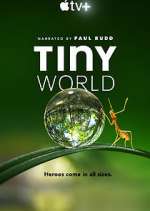 Watch Tiny World M4ufreemovies