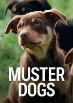 Watch Muster Dogs M4ufreemovies