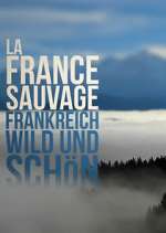 Watch Wild France M4ufreemovies