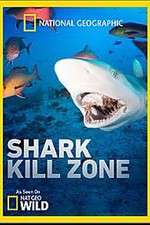 Watch Shark Kill Zone M4ufreemovies
