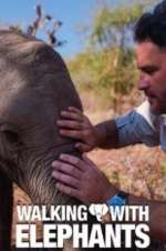 Watch Walking with Elephants M4ufreemovies