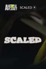 Watch Scaled M4ufreemovies