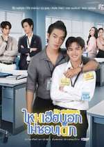 Watch My Stubborn M4ufreemovies