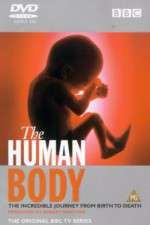 Watch The Human Body M4ufreemovies