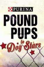 Watch Purina Pound Pups To Dog Stars M4ufreemovies