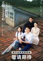 Watch Love Story in the 1970s M4ufreemovies