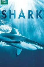 Watch Shark M4ufreemovies