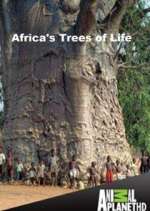 Watch Africa's Trees of Life M4ufreemovies