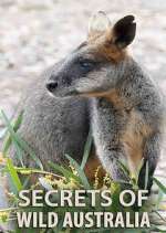Watch Secrets of Wild Australia M4ufreemovies