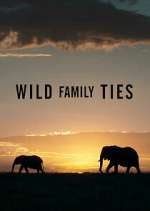 Watch Wild Family Ties M4ufreemovies