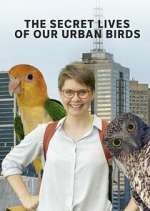 Watch The Secret Lives of Our Urban Birds M4ufreemovies