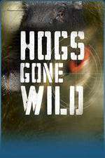 Watch Hogs Gone Wild M4ufreemovies