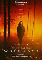 Watch Wolf Pack M4ufreemovies