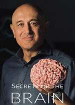 Watch Secrets of the Brain M4ufreemovies