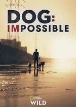 Watch Dog: Impossible M4ufreemovies