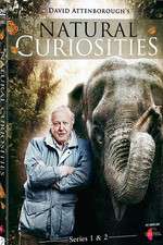 Watch Natural Curiosities M4ufreemovies