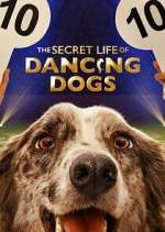 Watch The Secret Life of Dancing Dogs M4ufreemovies