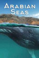 Watch Arabian Seas M4ufreemovies