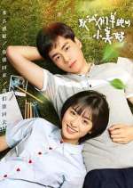 Watch A Love So Beautiful M4ufreemovies