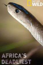 Watch Africas Deadliest M4ufreemovies