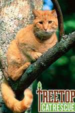 Watch Treetop Cat Rescue M4ufreemovies