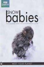 Watch Snow Babies M4ufreemovies