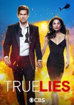 Watch True Lies M4ufreemovies