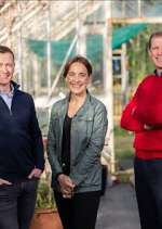 Watch Ear to the Ground M4ufreemovies