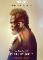 Watch The Last Days of Ptolemy Grey M4ufreemovies