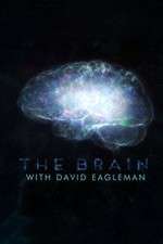 Watch The Brain with Dr David Eagleman M4ufreemovies